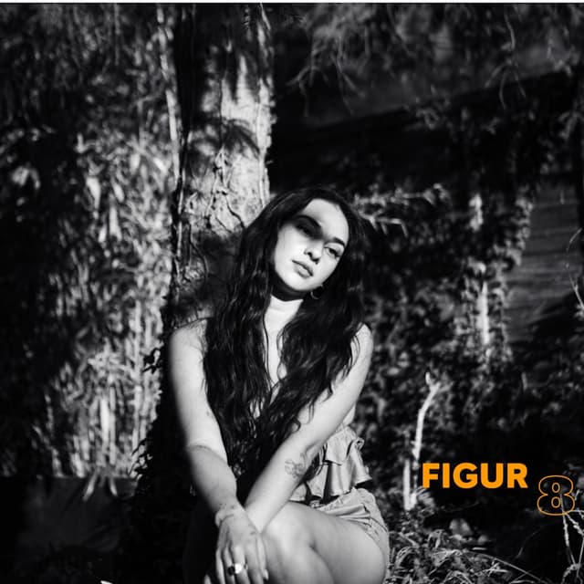 Figur 8