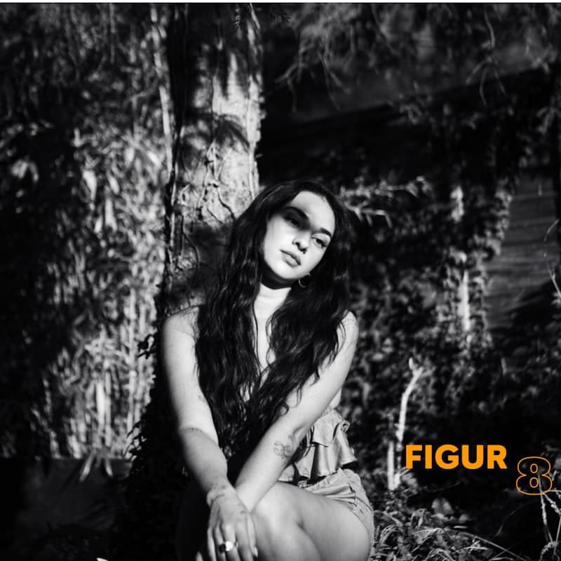 Figur 8